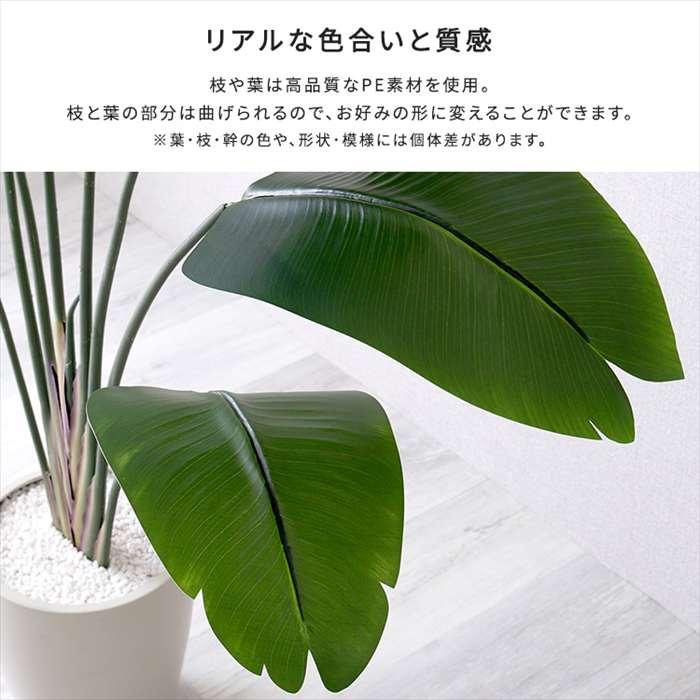 北海道・沖縄・離島配送不可 代引不可 お手入れ簡単フェイクグリーン ストレリチア Lサイズ 180cmの画像
