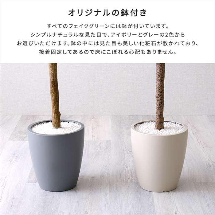 北海道・沖縄・離島配送不可 代引不可 お手入れ簡単フェイクグリーン ストレリチア Lサイズ 180cmの画像