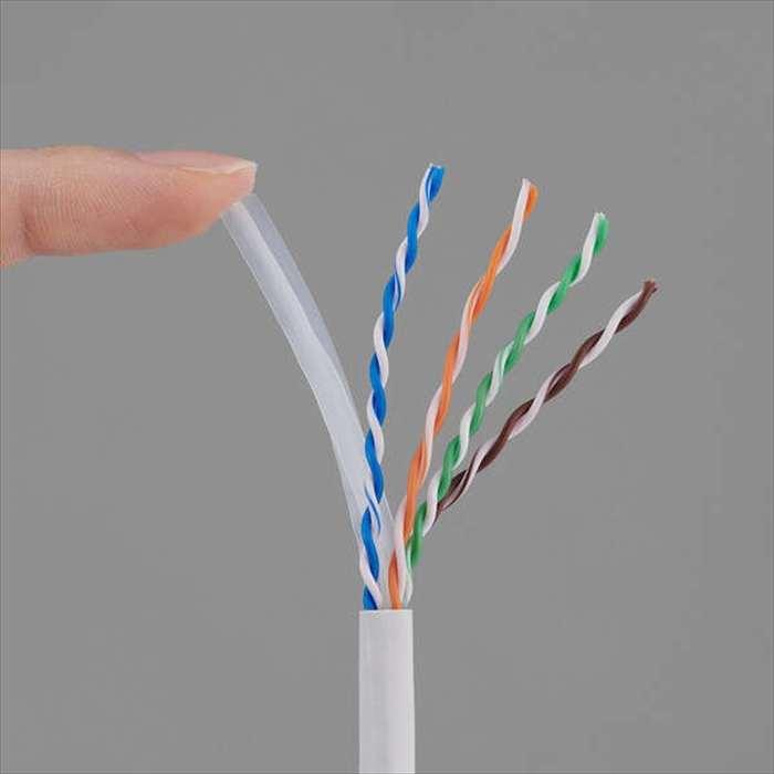 即日出荷 代引不可 Cat6A 長尺LANケーブル 白 100ｍ 高速 安定 ネットワーク環境 自作用LANケーブル エレコム LD-GPAL/WH100RS_3