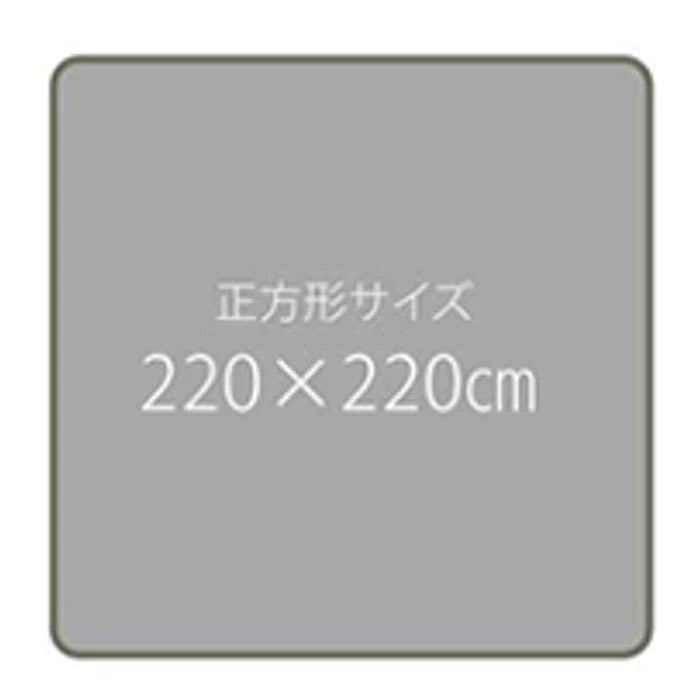 北海道・沖縄・離島配送不可 代引不可 ラグ カーペット こたつ敷き布団 約220×220cm IKEHIKO 5996919｜dresma｜08