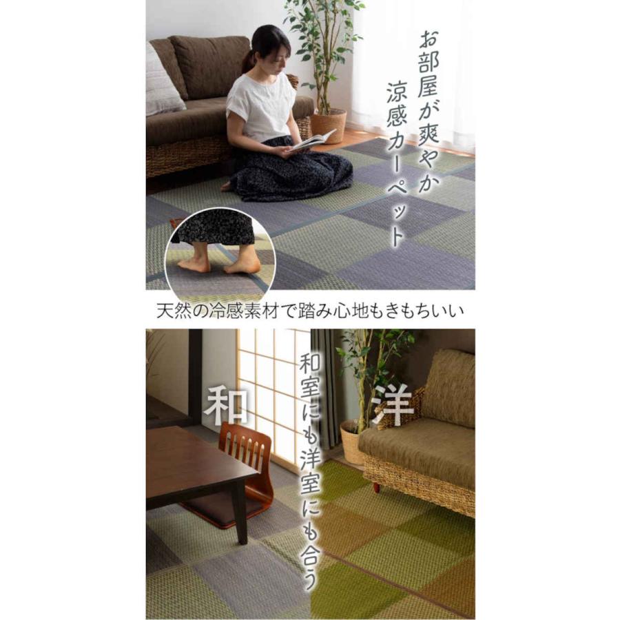 代引不可 い草 花ござ ござ ラグ カーペット マット 団地間6畳 約255×340cm DXピーア IKEHIKO DXPA255340