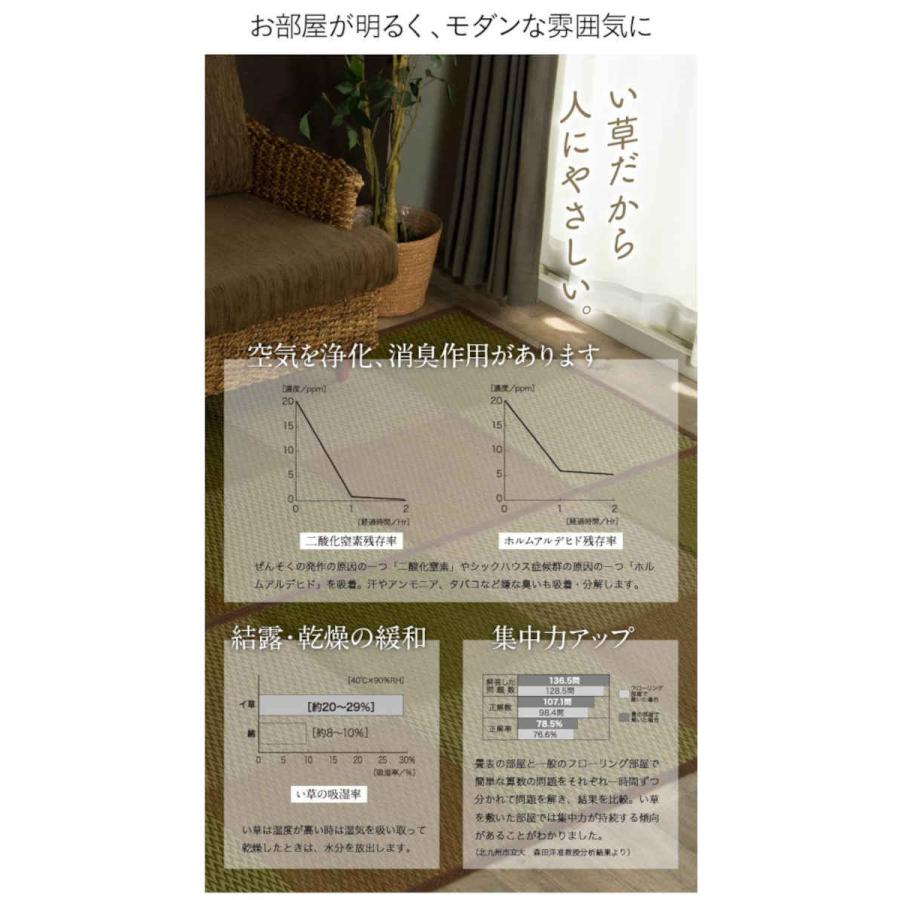 代引不可 い草 花ござ ござ ラグ カーペット マット 団地間6畳 約255×340cm DXピーア IKEHIKO DXPA255340