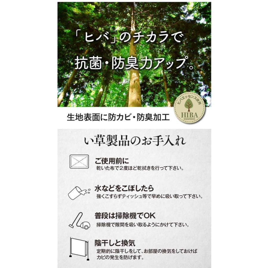 代引不可 い草 花ござ ござ ラグ カーペット マット 団地間6畳 約255×340cm DXピーア IKEHIKO DXPA255340