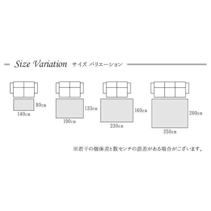 代引不可 カーペット ラグマット 133×190 トルコ製ウィルトン織 IKEHIKO NM133190_6