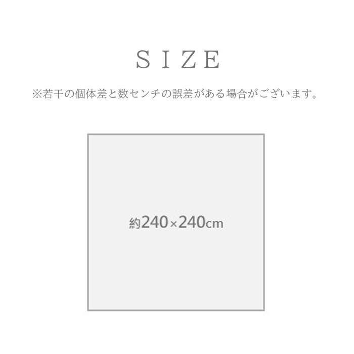 代引不可 敷物 ラグ（ウィルトン） ディオーネ BE 240×240cm ベージュ IKEHIKO 1322060020801_4
