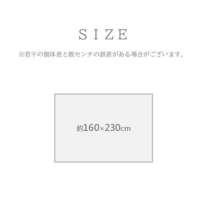 代引不可 敷物 ラグ（ウィルトン） カペル MIX 160×230cm ミックス IKEHIKO 1322130300401_3
