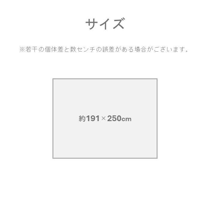代引不可 い草ラグ イ草ラグ 敷物 オルシャ 191×250cm インテリア 新生活 IKEHIKO 1051951013904