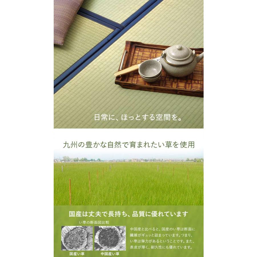 代引不可 置き畳 約82×82cm 4枚組 半畳 ユニット畳 システム畳 国産 い草 簡単 和室 IKEHIKO AGR828204_1
