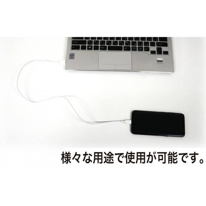 スマホ 充電 ケーブル USB ケーブル Type-C / Type-A対応 USBケーブル USB2.0 3A 2m ３カラー（ホワイト・ブラック・ピンク） バウト BUSAC2030200｜dresma｜05