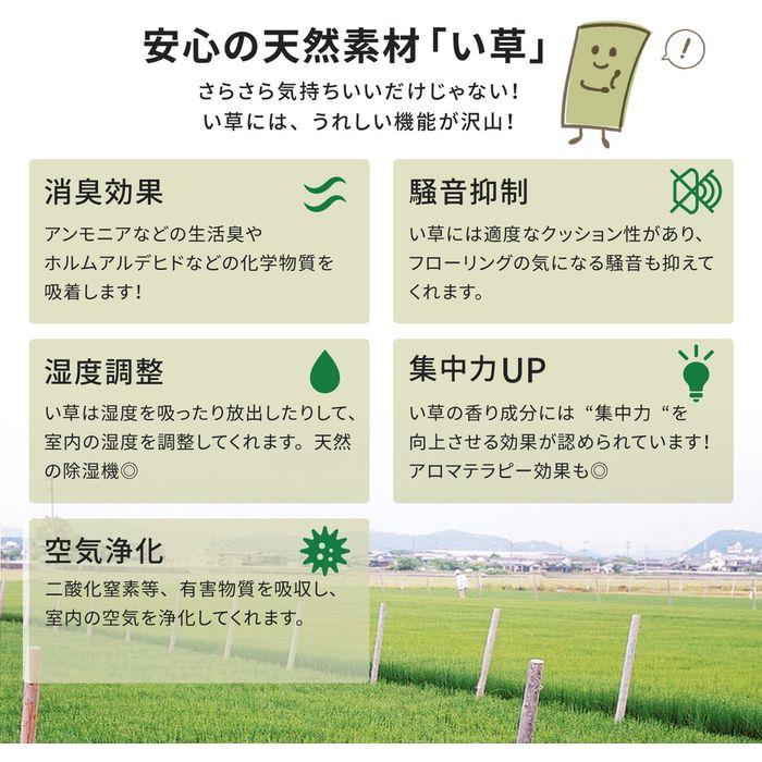 北海道・沖縄・離島配送不可 代引不可 い草カーペット 白馬(はくば) 36間6帖 撥水加工 ラグ マット 約273×364cm HAGIHARA