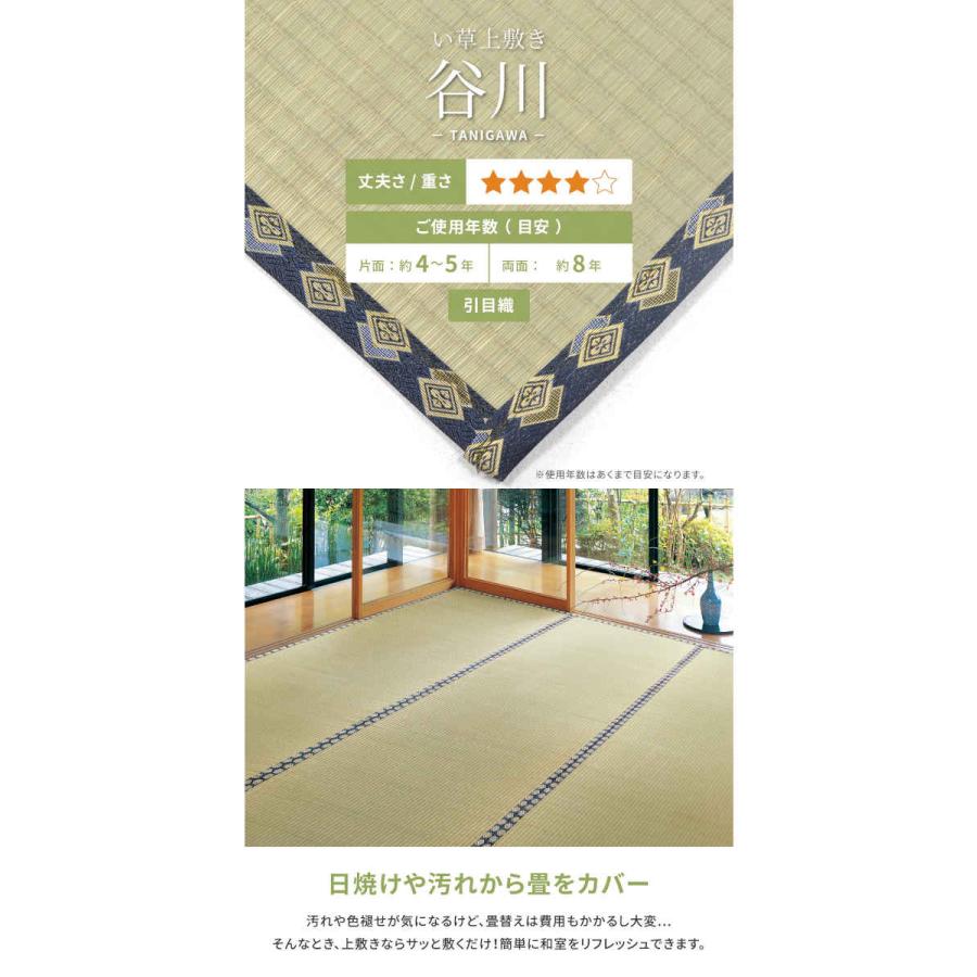 北海道・沖縄・離島配送不可 代引不可 い草カーペット 江戸間8畳 352×352cm 抗カビ 谷川 HAGIHARA 158002180_1