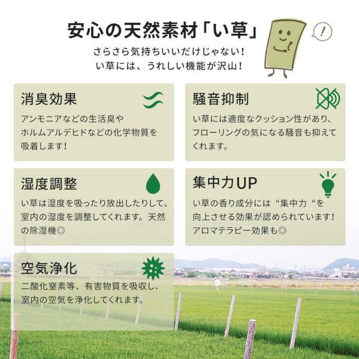 北海道・沖縄・離島配送不可 代引不可 い草カーペット 江戸間8畳 352×352cm 抗カビ 谷川 HAGIHARA 158002180_2