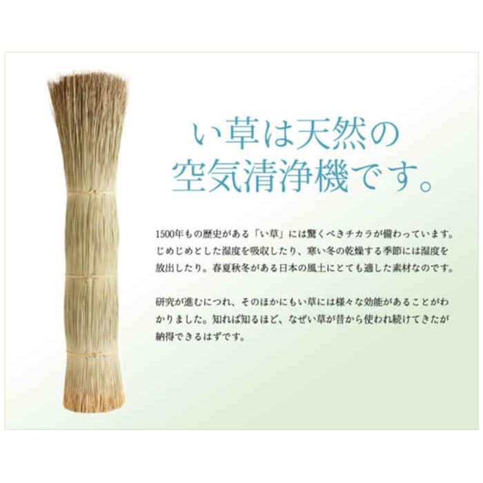 代引不可 い草 花ござ ラグ カーペット マット 江戸間6畳 約261×352cm DXパルコ裏貼 IKEHIKO DXPK261352_3