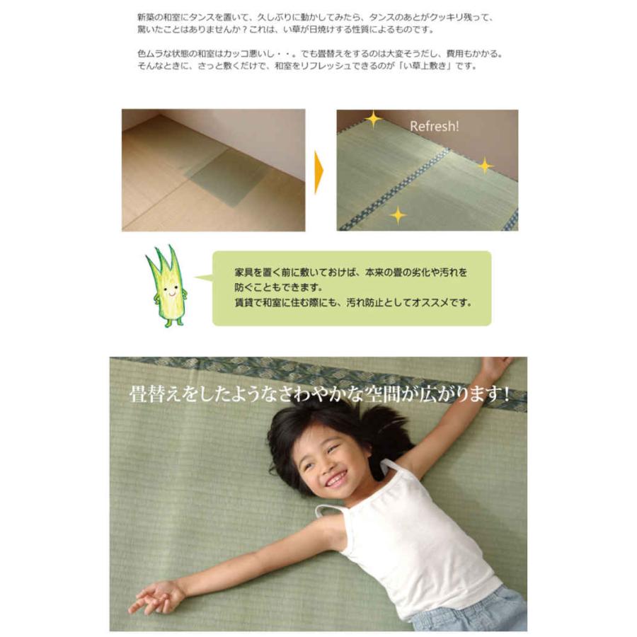 代引不可 い草 上敷きカーペット ござ 三六間8畳 約364×364cm 糸引織 西陣 IKEHIKO 6301048_2