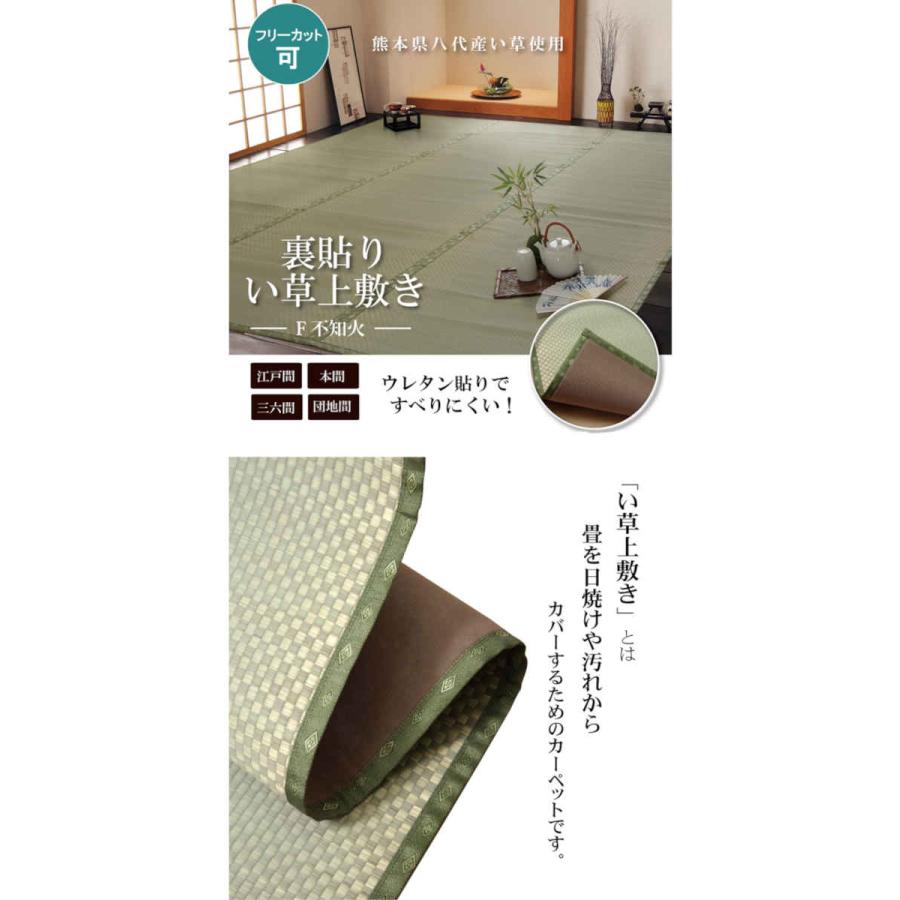 代引不可 い草 上敷きカーペット ござ フリーカット 三六間3畳 約182×273cm F不知火 IKEHIKO 6305143