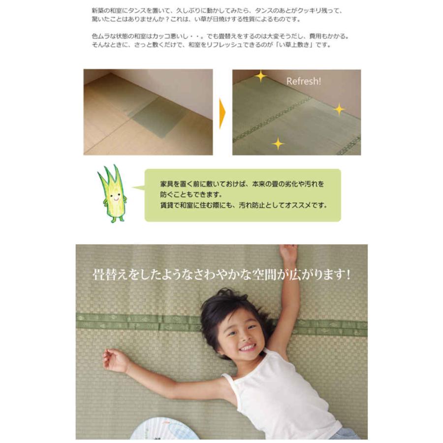 代引不可 い草 上敷きカーペット ござ フリーカット 三六間3畳 約182×273cm F不知火 IKEHIKO 6305143