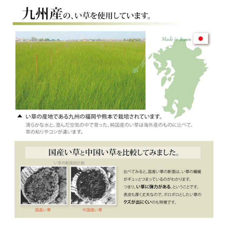 北海道・沖縄・離島配送不可 代引不可 い草 上敷きカーペット ござ 約261×352cm 江戸間6畳 糸引織 湯沢 純国産 日本製 IKEHIKO 1102736｜dresma｜04