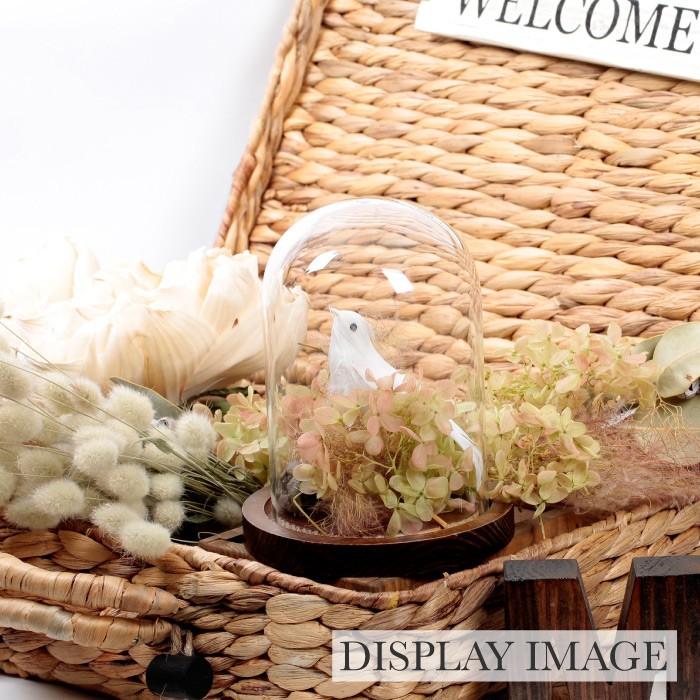 ガラス ドーム ディスプレイ 木 ディスプレー 結婚式 ウェルカムスペース 飾り付け 可愛い カワイイ ラブリー Dd Za 8 ウェディング通販ドレスアンドレス 通販 Yahoo ショッピング