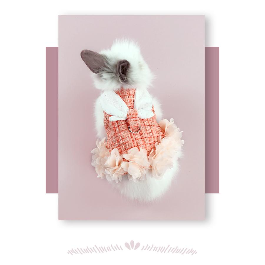 ウサギ ハーネス 4色 モルモット 可愛いうさぎ服 うさぎハーネス リードセット 胸あて式 調節可能 うさぎ 着ぐるみ 散歩 軽量 簡単着脱 Dt6013 Dresstell 通販 Yahoo ショッピング