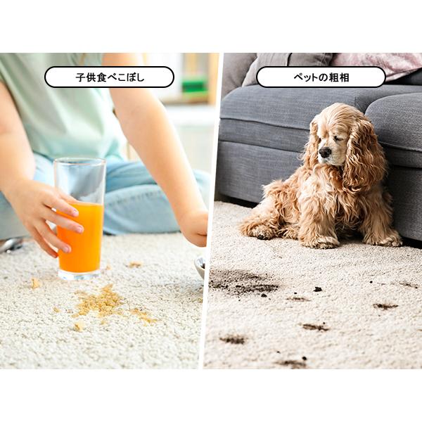 爆買ウル卜ラSALE☆24,800円→19,900円~】【Yadea公式】カーペット洗浄