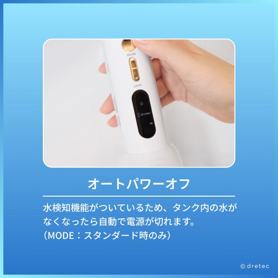 ドリテック 公式 口腔洗浄器 「ジェットクリーン グリフィ」 ジェット