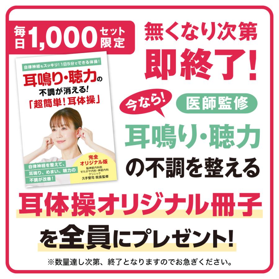 ミミクリア 2個セット 正規品 集音器 1年保証 高齢者 使いやすい 充電