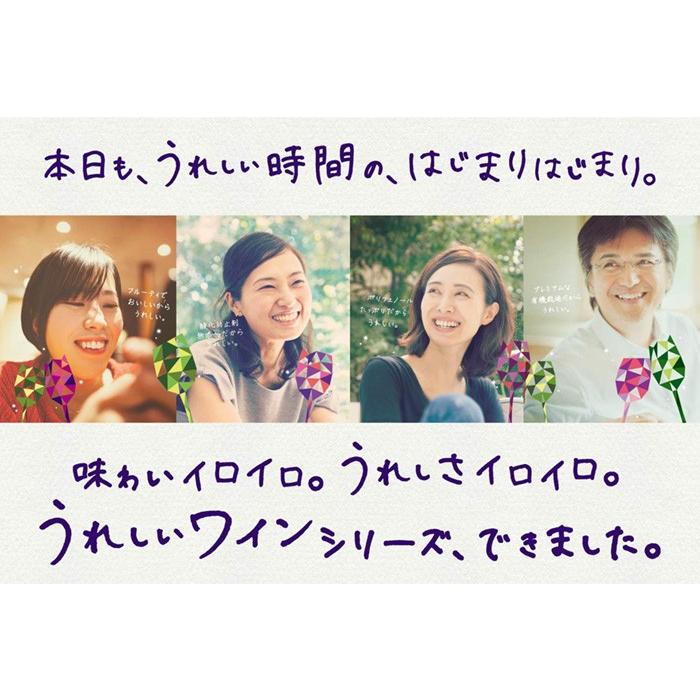 サッポロ うれしいワイン 酸化防止剤無添加有機酸リッチ (白) 300ml瓶 x 12本ケース販売 (国産ワイン) (やや辛口) (SP)｜drikin｜02