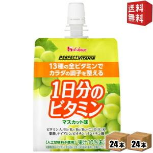 送料無料 ハウスウェルネス パーフェクトビタミン 1日分のビタミンゼリー マスカット味 180gパウチ 48個 24個 2ケース 2set ドリンクコンビニ ヤフー店 通販 Yahoo ショッピング