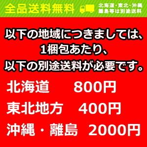 送料無料 日清 101gカップヌードル ＢＩＧビッグ 12食入｜drink-cvs｜02