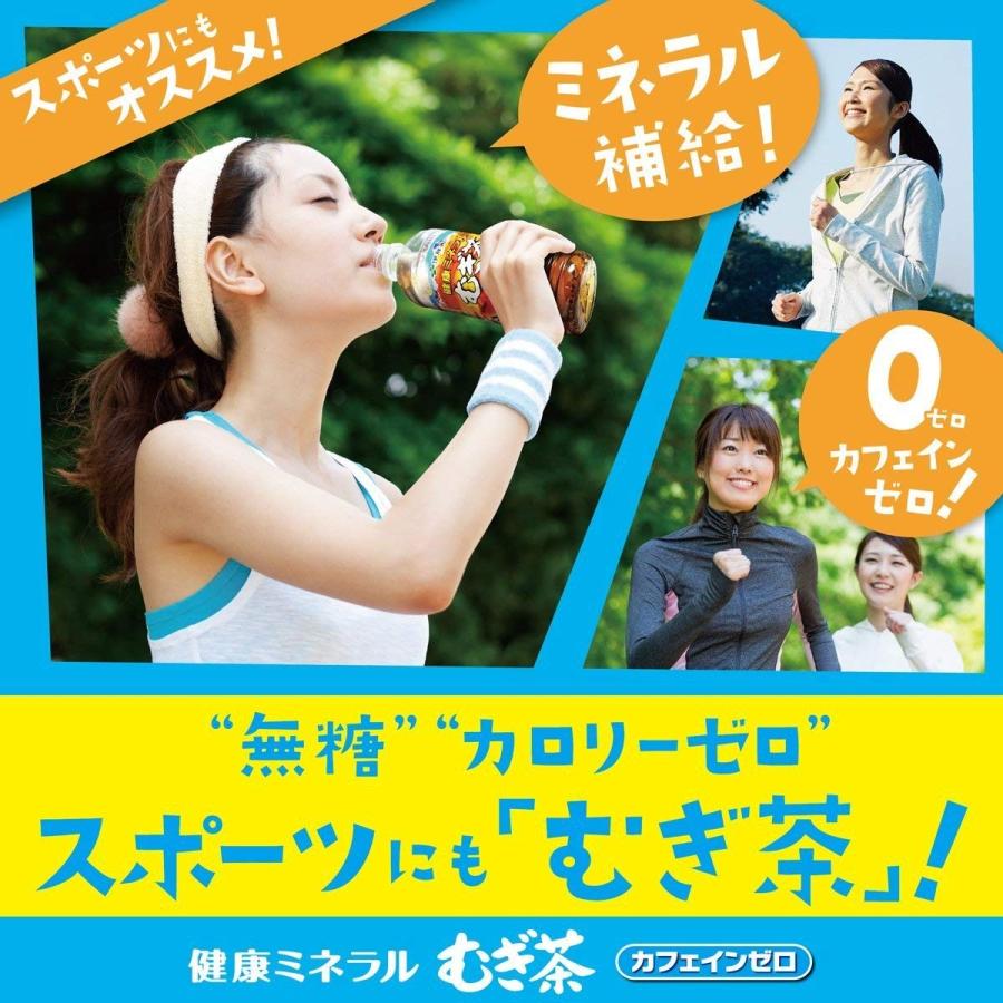 健康ミネラルむぎ茶 伊藤園 PET 600ml×24本 : ドリンク ネクスト