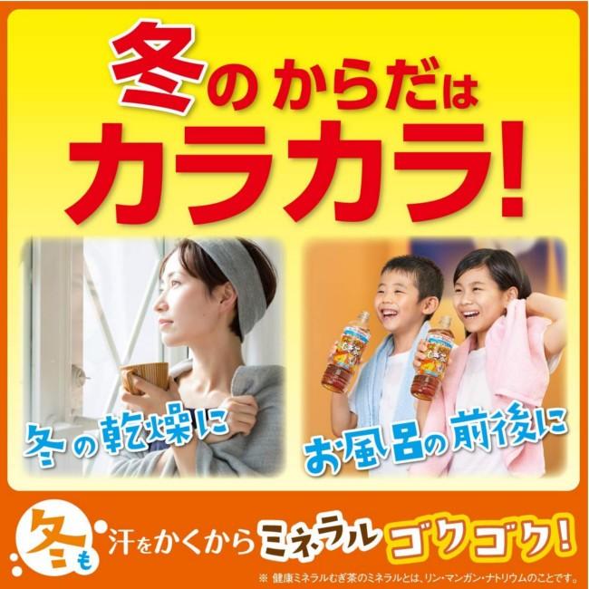 伊藤園 健康ミネラルむぎ茶 PET 600ml×24本 :583:ドリンク ネクスト - 通販 - Yahoo!ショッピング 伊藤園 健康ミネラルむぎ茶 PET 600ml×24本 :583:ドリンク ネクスト - 通販 - Yahoo!ショッピング