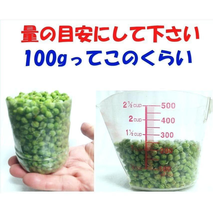 実山椒 冷凍 朝倉山椒 関西産 100g 【アク抜き済・枝取り済】 山椒 下処理済　本場兵庫・京都・奈良・和歌山県産北海道・沖縄へは別途送料1000円　 |  | 05