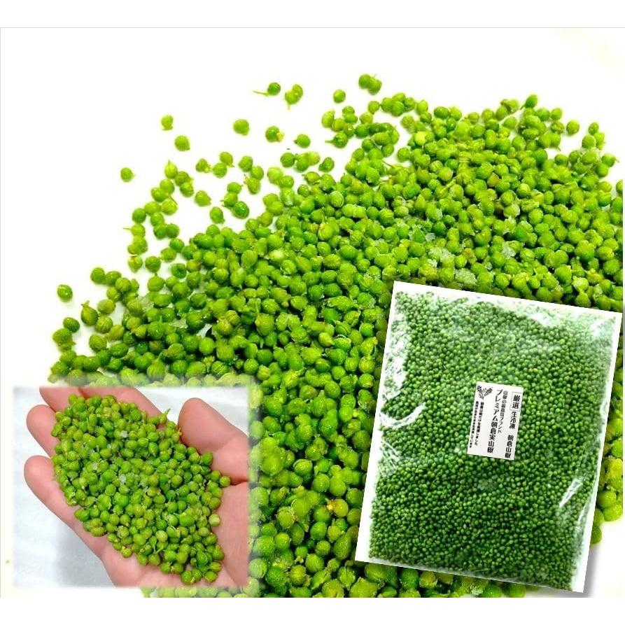 実山椒 冷凍 朝倉山椒 関西産 500g 【アク抜き済・枝取り済】 山椒 下処理済　本場兵庫・京都・奈良・和歌山県産北海道・沖縄へは別途送料1000円　 | 