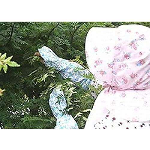 実山椒 冷凍 朝倉山椒 関西産 500g 【アク抜き済・枝取り済】 山椒 下処理済　本場兵庫・京都・奈良・和歌山県産北海道・沖縄へは別途送料1000円　 |  | 01