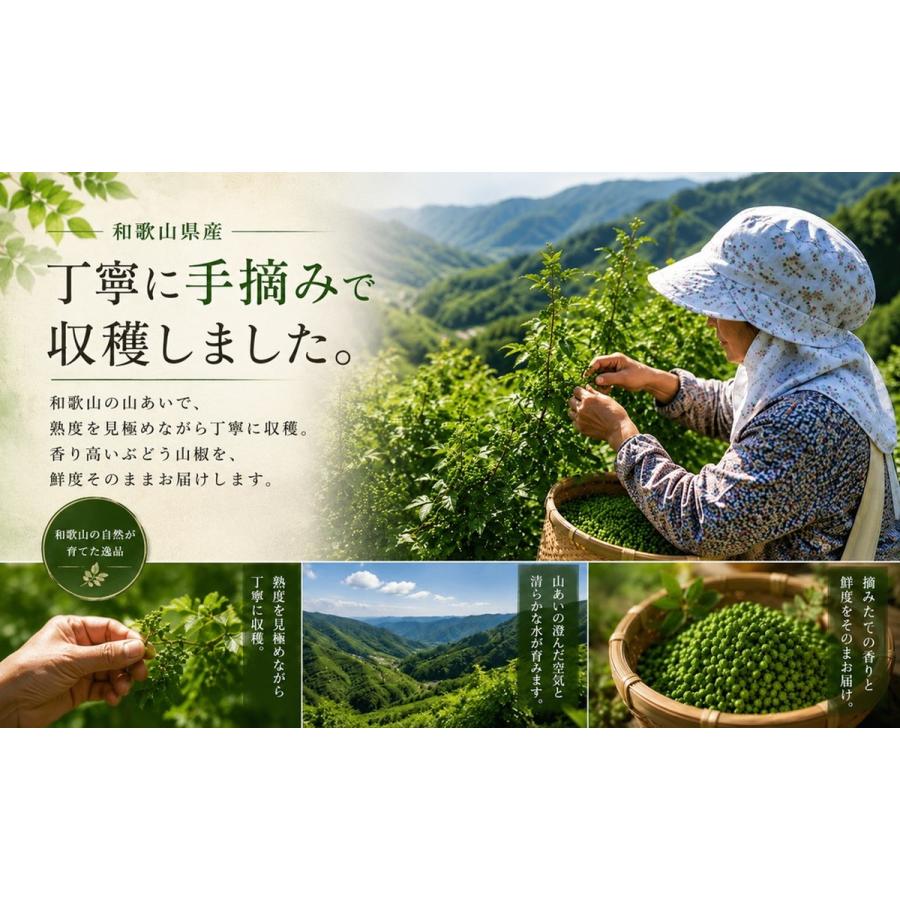 山椒 山椒の実 実山椒 200g 冷凍 令和8年新物 和歌山県産 ぶどう山椒 アク抜き済 枝取り済 軸ほぼ取り済 下処理済 国産 北海道・沖縄へは別途送料1000円 |  | 02
