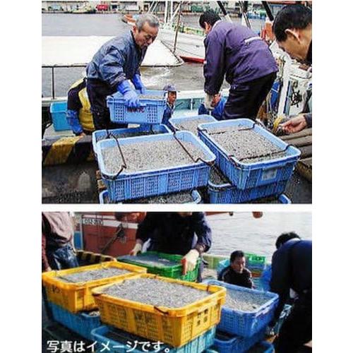2026新物 神戸で人気の味 いかなごくぎ煮 300g 兵庫県産 新物 無添加 佃煮 ご飯のお供 ＊メール便でポスト投函(日時指定不可） |  | 03
