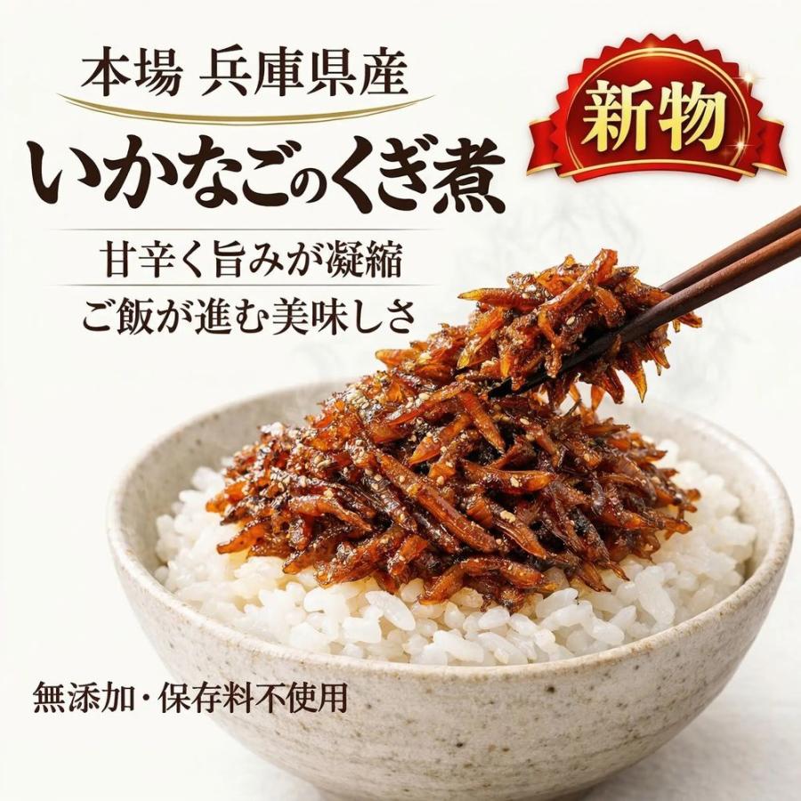 2026新物 神戸で人気の味 いかなごくぎ煮 500g 兵庫県産 新物 無添加 佃煮 ご飯のお供 ＊北海道・沖縄へは別途送料1000円 |  | 01