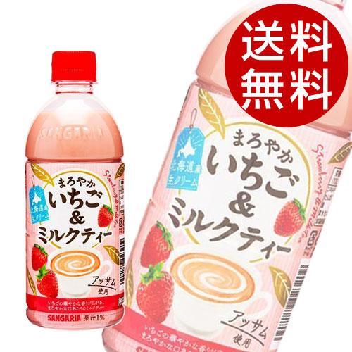サンガリア まろやかいちご＆ミルクティー 500ml×48本 ソフトドリンク