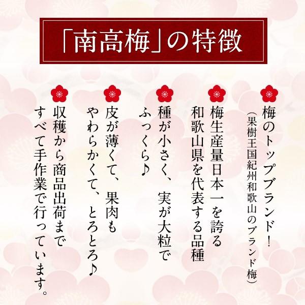 超低塩！塩分3％！紀州南高梅つぶれ梅 3kgセット[しそ梅・はちみつ梅・アップル梅] 選り取り［常温］【3〜4営業日以内に出荷】送料無料_2