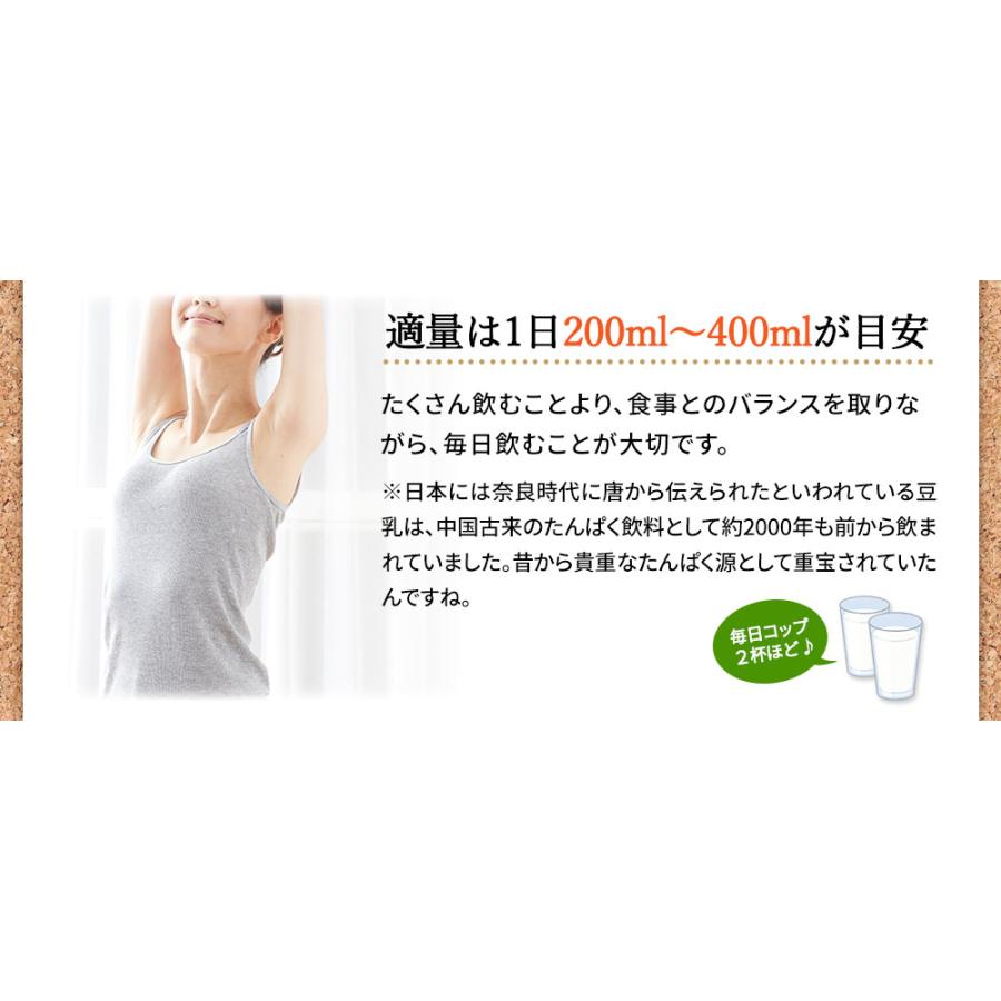 九州乳業 みどり豆乳 成分無調整豆乳 1L紙パック×6本 豆乳 [賞味期限