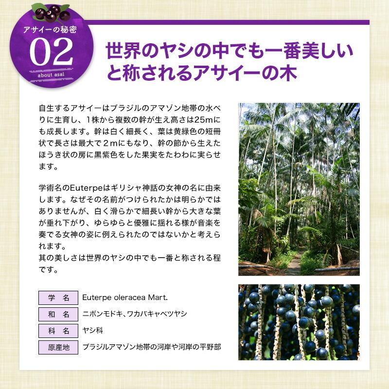 スーパーフルーツアサイー入り アサイーフルーツミックス 0ml紙パック 24本 1 2営業日以内に出荷 送料無料 お金を節約