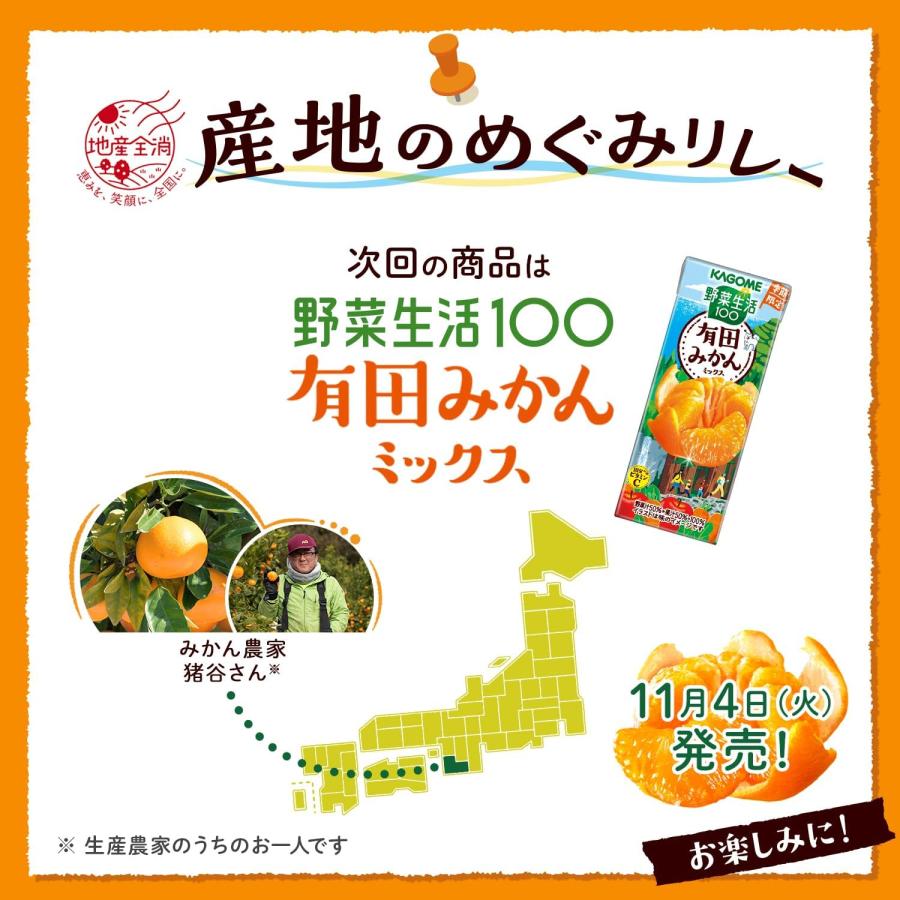 KAGOME 野菜生活100 果物ミックス 4種類　24本ずつ　計96本 KAGOME カゴメ 野菜ジュース × 96本 24本 選べる 4ケース 195ml