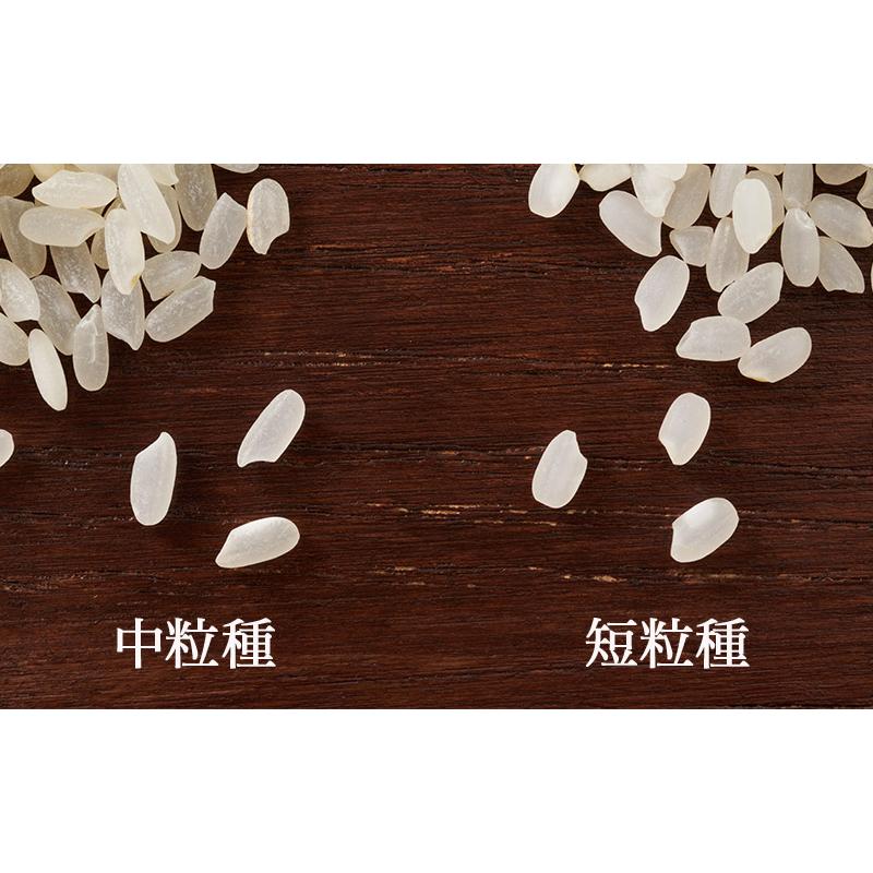 アメリカ産 カルローズ 米 20kg ［10kg ×2P］30kgまで1配送でお届け