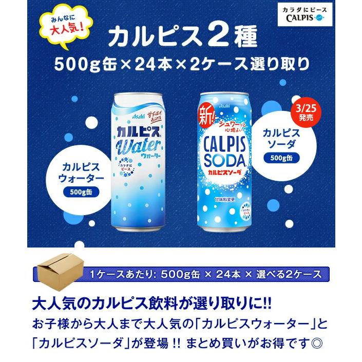 アサヒ カルピス カルピスウォーター カルピスソーダ 500g缶 ×48本