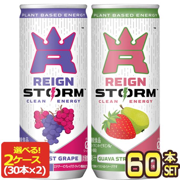 アサヒ レインストーム グァバストロベリー ハーベストグレープ 250ml
