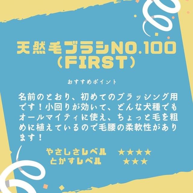 【ケイプロペット】GROOMERオイルブラシ　No.100First | Kーpro | 05