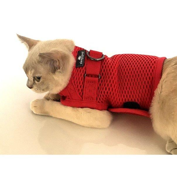 sleepypod マーチンゲールキャットハーネス Sサイズ（5色）スリーピーポッド 猫用ハーネス sleepypodMartingale