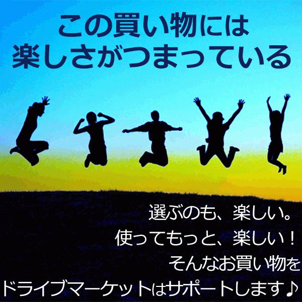 DAYTONA（デイトナ） 22144 コンパクトハーフカバー ラージ（LL〜3L