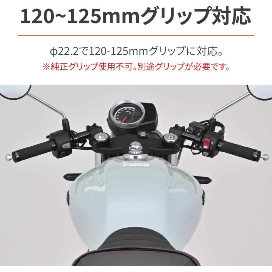 専用　ソフトのみ DAYTONA（バイク用品） デイトナ 95267 GIVI PLX446 パニア