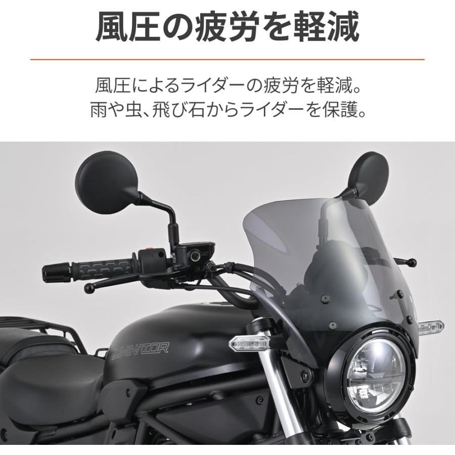 DAYTONA（デイトナ） 42156 スクリーン エリミネーター(24)専用